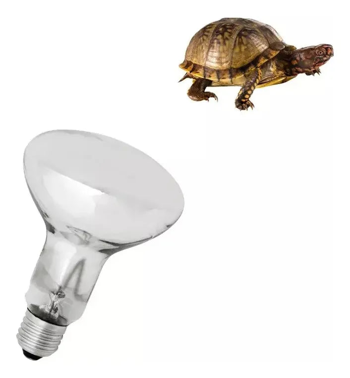 Bombillo De Calentamiento Para Reptiles R80