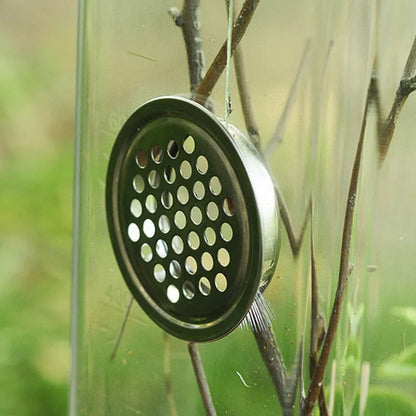 Caja de Cría para Reptiles con Ventilación y Tapa Segura