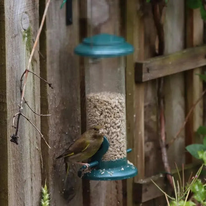 Comedero Dispensador Colgante Para Comida Pajaros Aves
