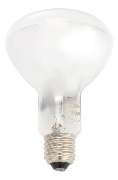 Bombillo De Calentamiento Para Reptiles R80